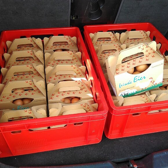 2 rote Kisten mit gefüllten Eierschachteln
