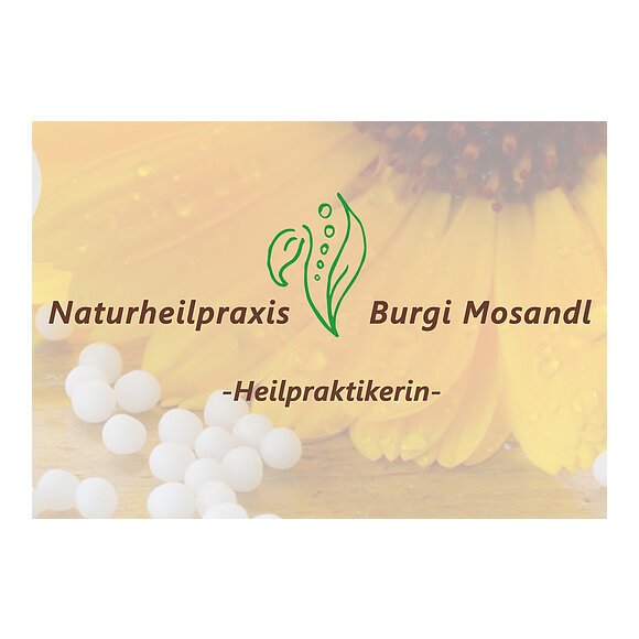 Logo Naturheilpraxis Burgi Mosandl