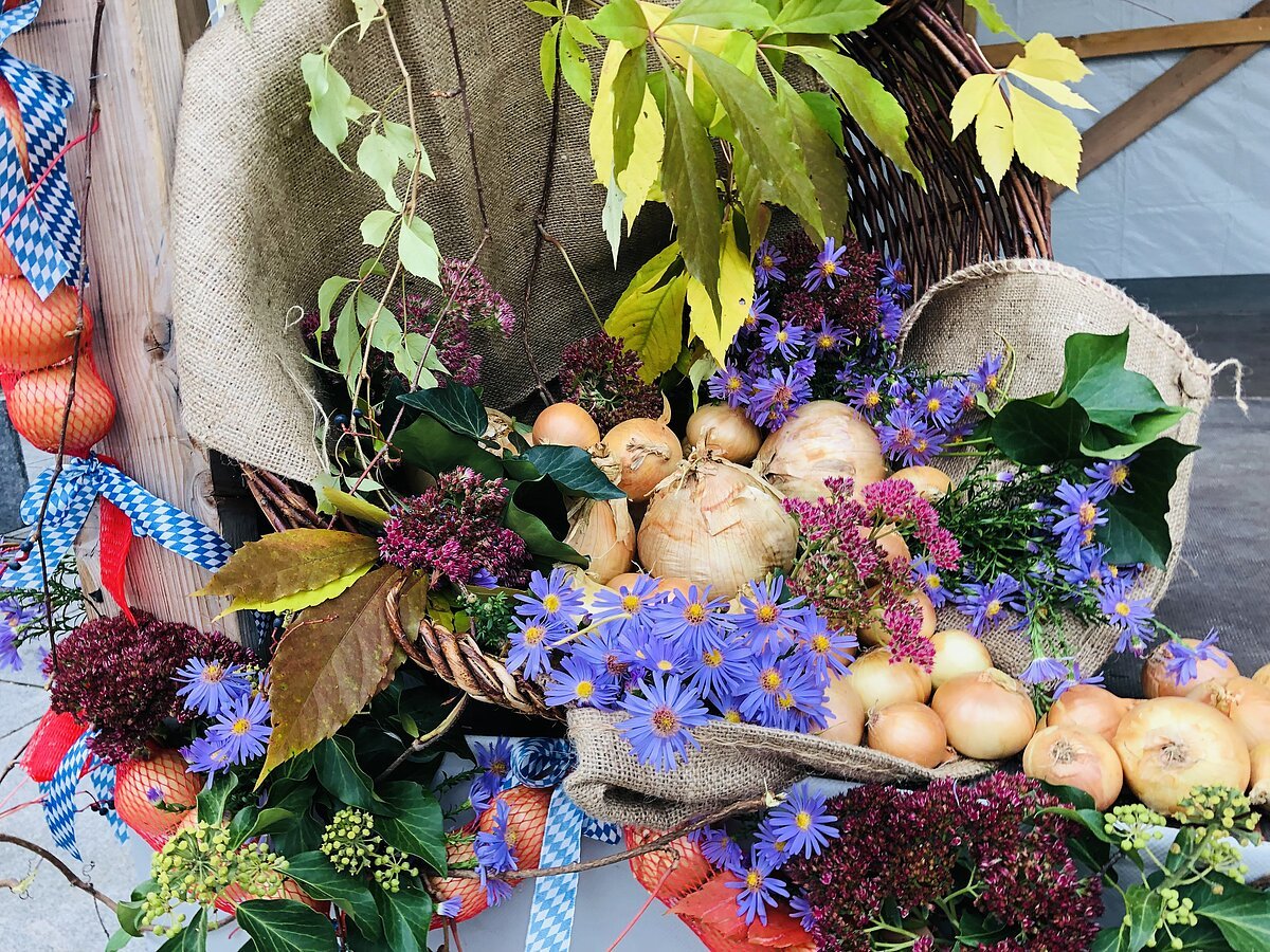 Zwiebelkorb_Rita Kaes_IMG_2604