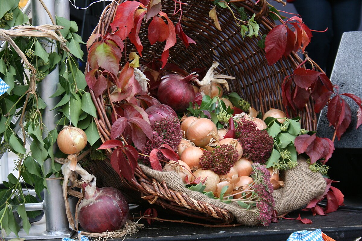 Zwiebelkorb