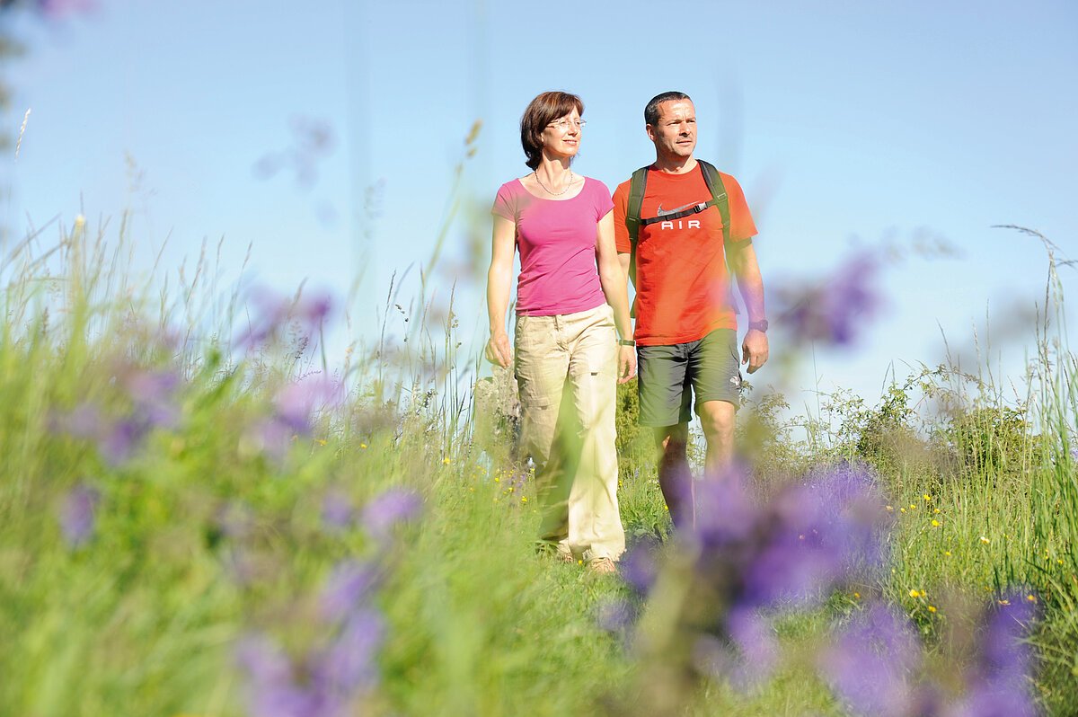 Wanderer auf blühender Wiese